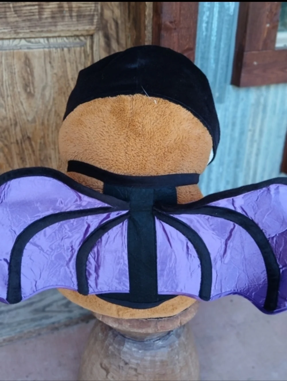Pet costume adorable bat